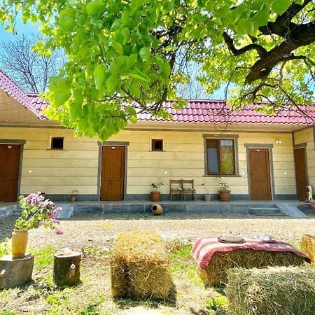 Aghasu Tun B&B Odzun 외부 사진